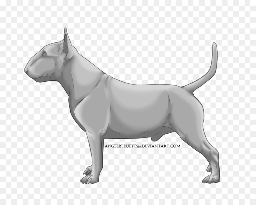 Bull Terrier，Miniatura Do Bull Terrier PNG