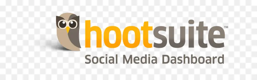 Logotipo Da Hootsuite，Mídias Sociais PNG