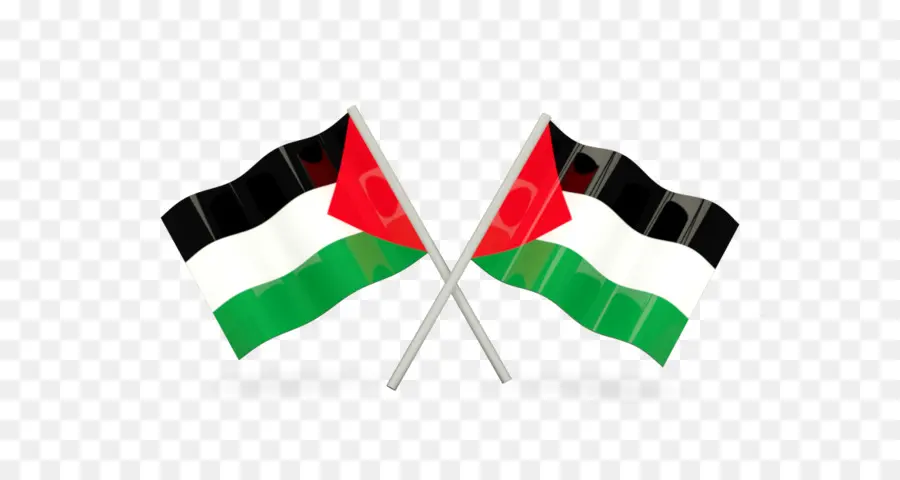 Bandeira Da Palestina，Bandeira PNG