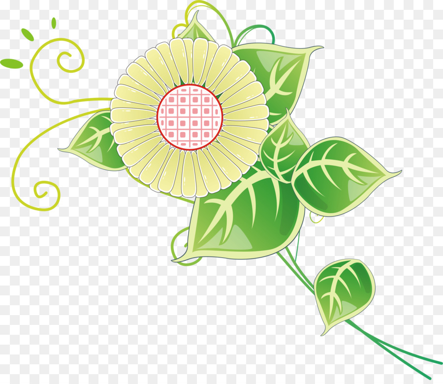 Desenho Floral，Flores PNG