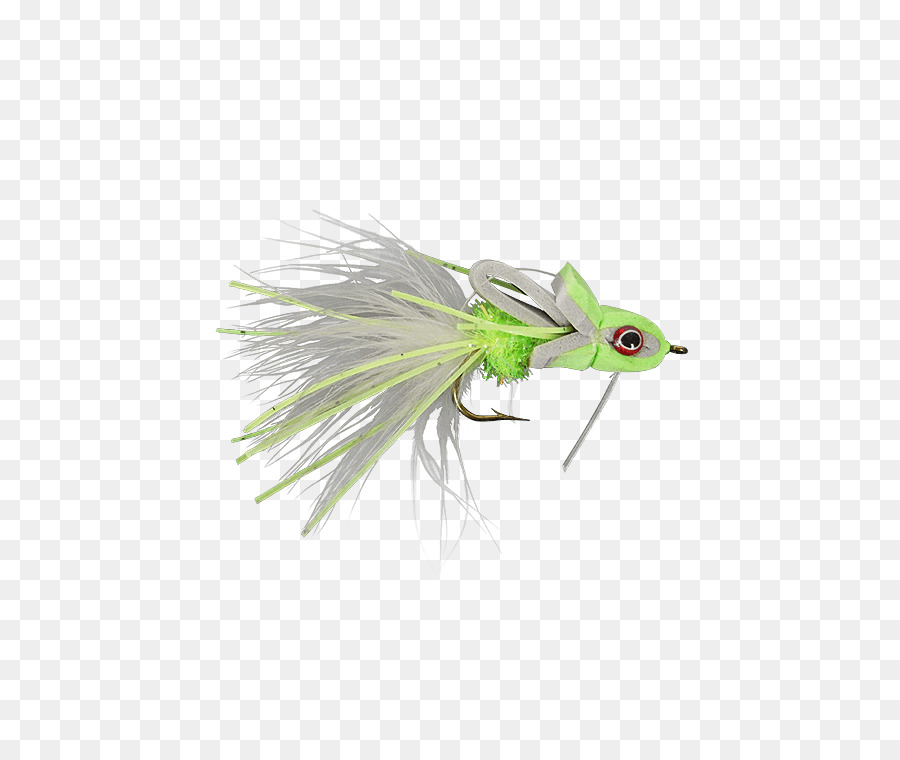 Artificial Voar，Holly Voa PNG