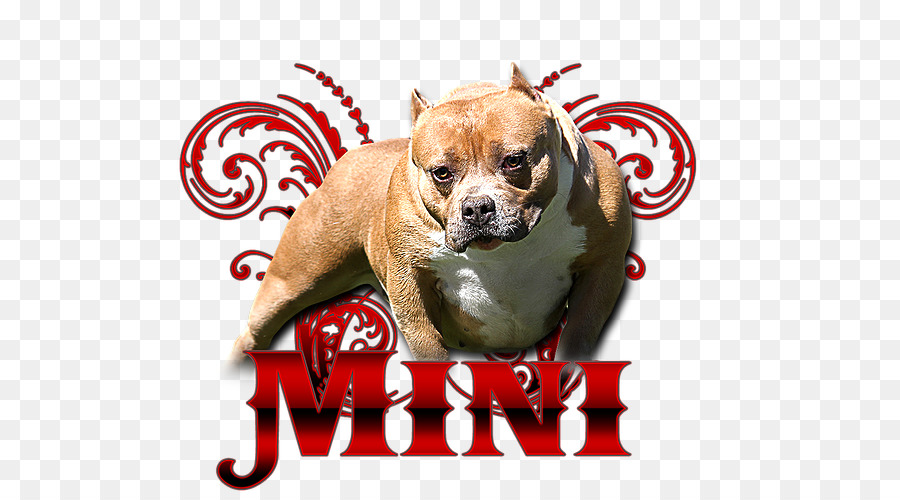 Puggle，Filhote De Cachorro PNG