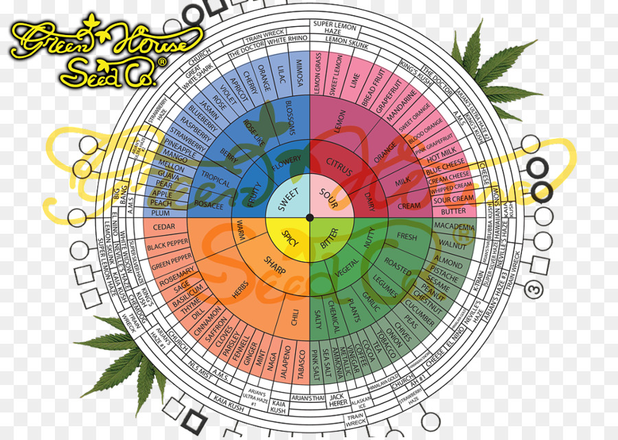 Gráfico Strain Hunters Seed Co，Maconha PNG