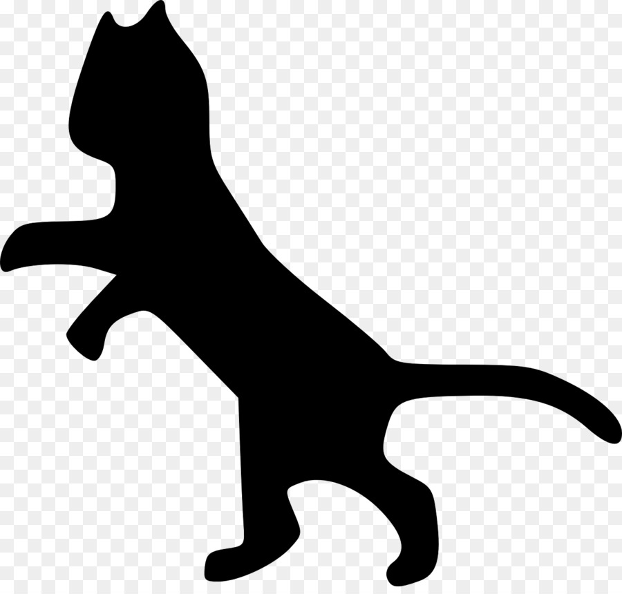 Gato Preto，Felino PNG