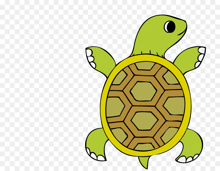 Tartaruga，Turtle PNG