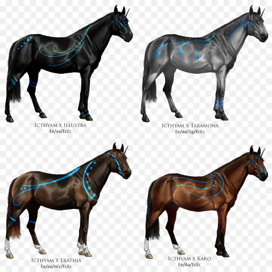 Cavalos，Equino PNG