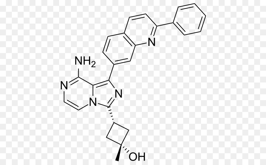 Linsitinib，Interações PNG