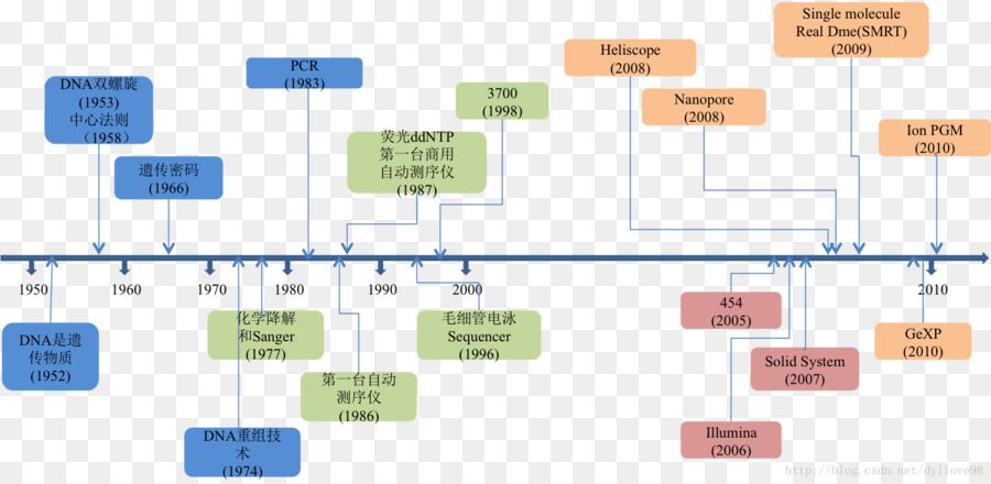 Sequenciamento De Dna，O Seqüenciamento PNG