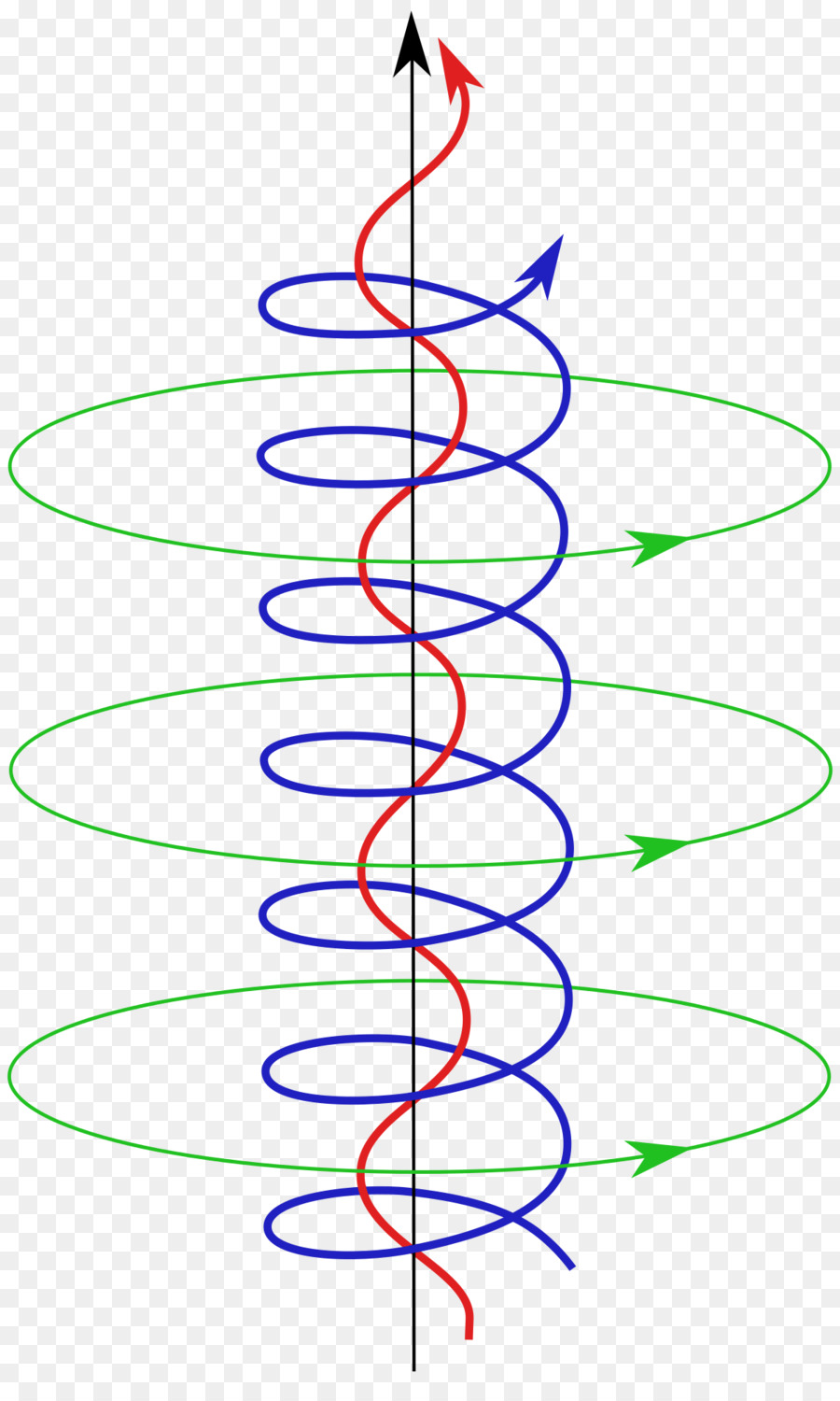 Estrutura Helicoidal，Diagrama PNG