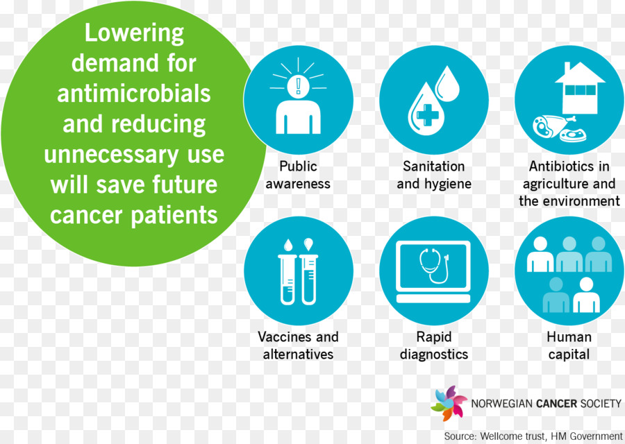 Alternativas Aos Antibióticos，A Resistência Antimicrobiana PNG