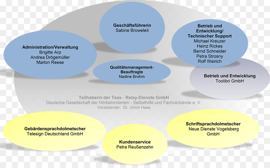 Gráfico Organizacional，Negócios PNG