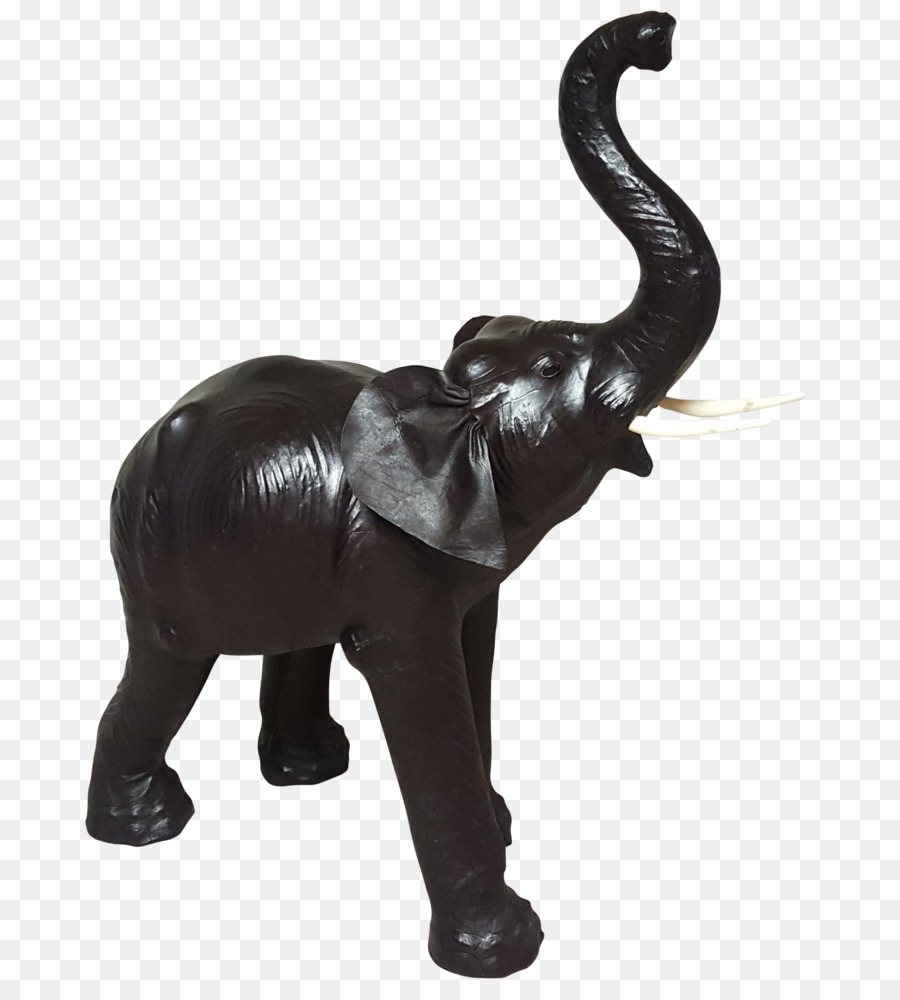 Elefante Indiano，Elefante Africano PNG