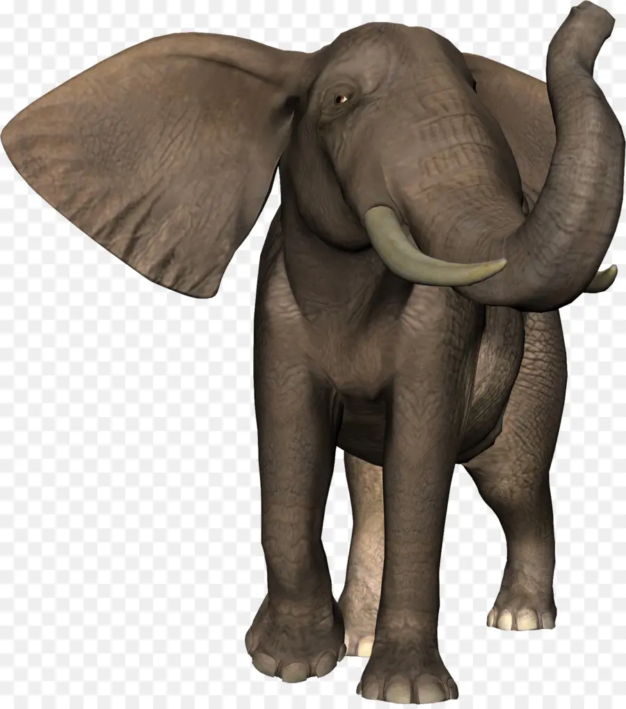 Elefante，Presas PNG