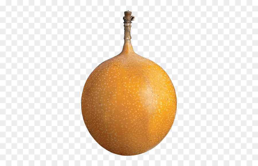 Inverno De Squash，Cucurbita PNG