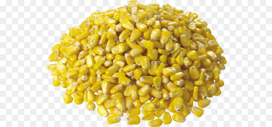 A Espiga De Milho，Maize PNG