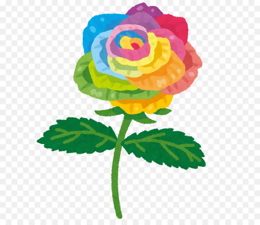 Rosa，Cor PNG