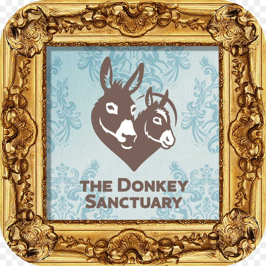 Donkey Sanctuary，Molduras PNG