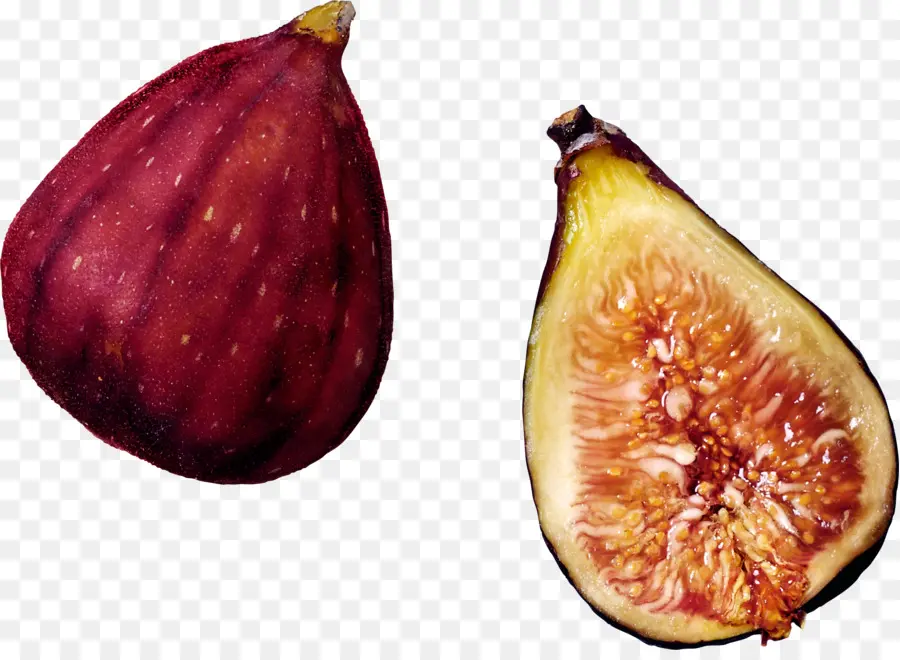 Figueira Comum，Chorando Fig PNG