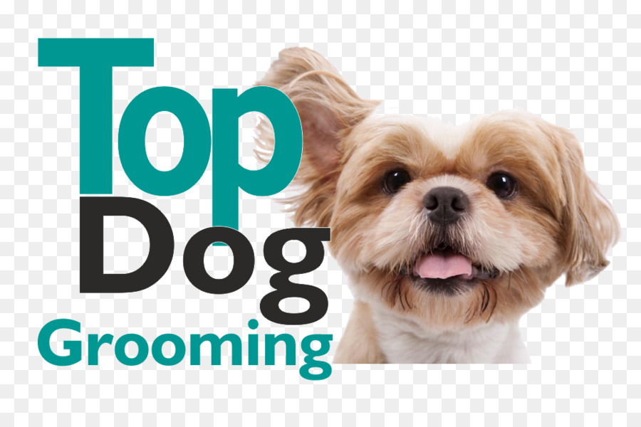 Filhote De Cachorro，Dog Grooming PNG