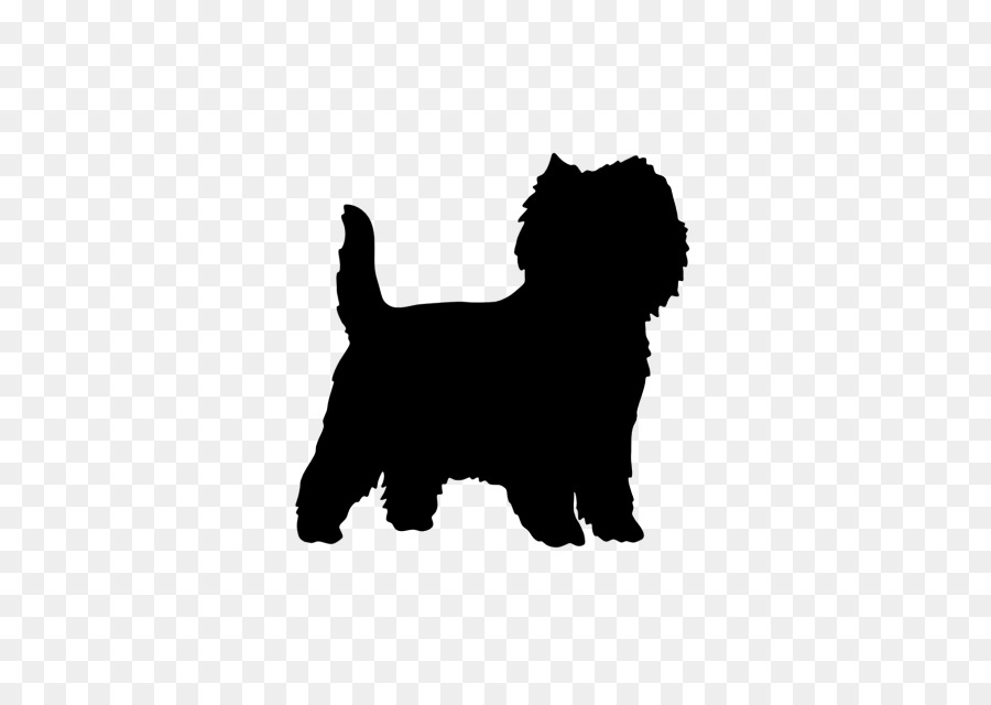 Affenpinscher，Filhote De Cachorro PNG