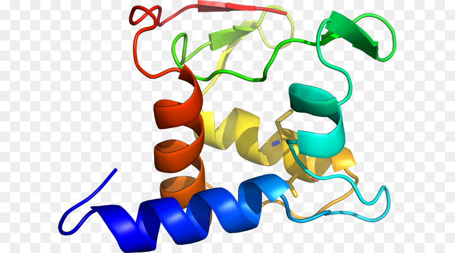 Hélice De Proteína，Molécula PNG