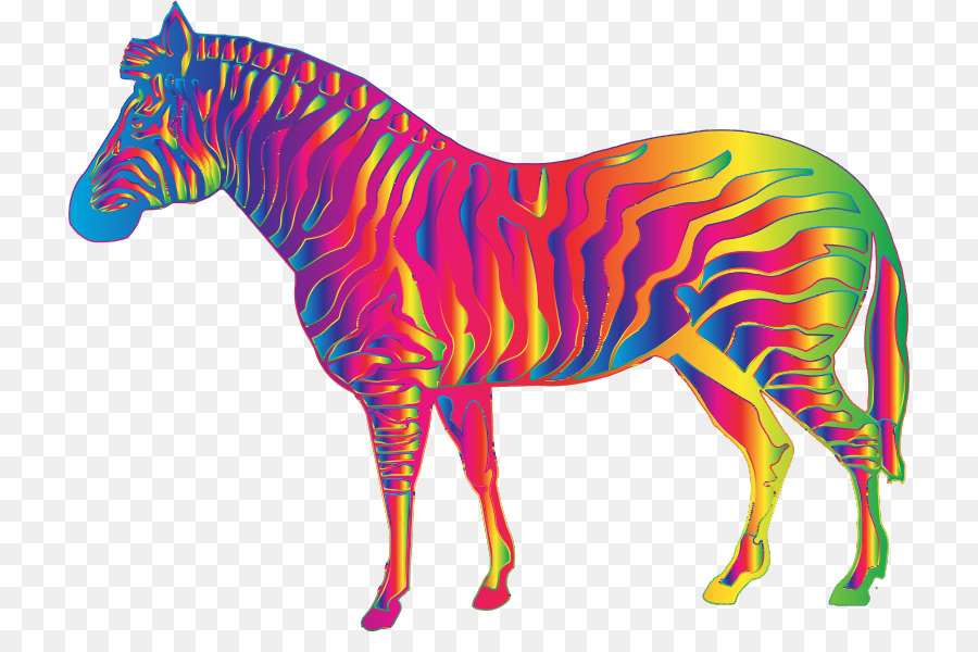 Cavalo Colorido，Cavalo PNG