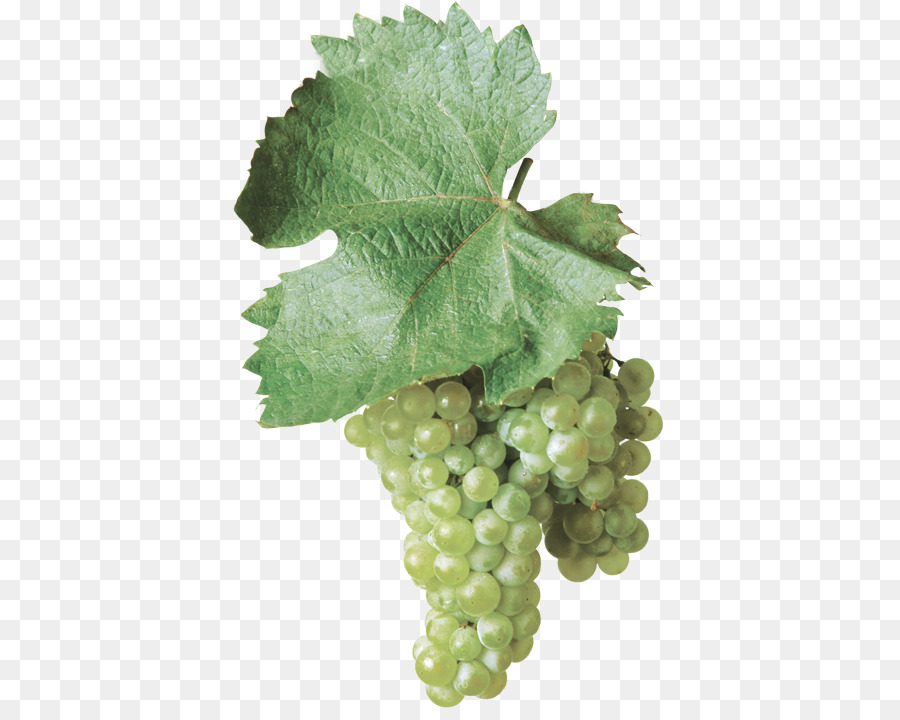 Uvas Verdes，Folha PNG