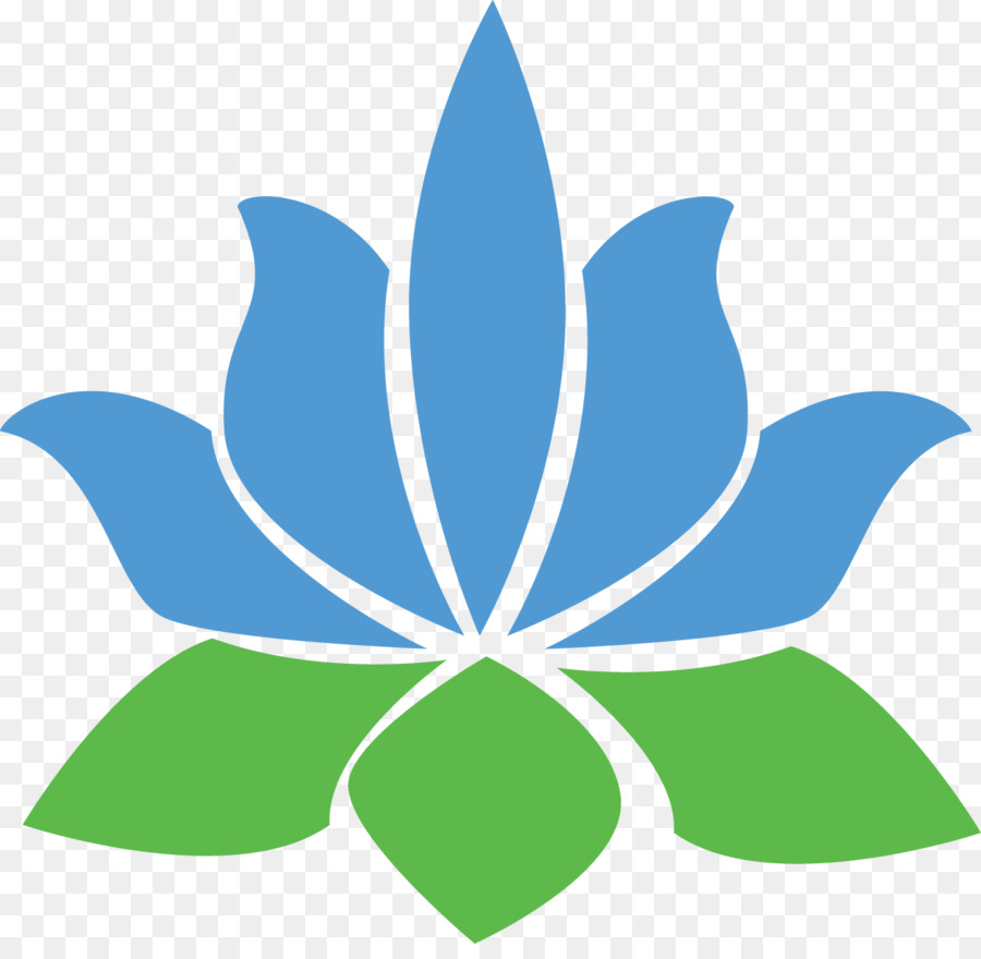 Flor De Lótus，Ioga PNG