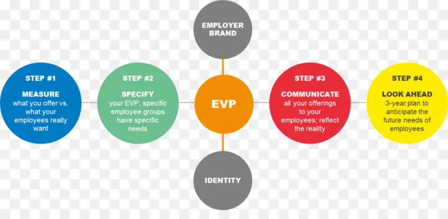 Diagrama Evp，Empregador PNG