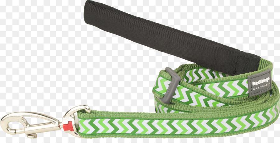 Leash，Cão PNG