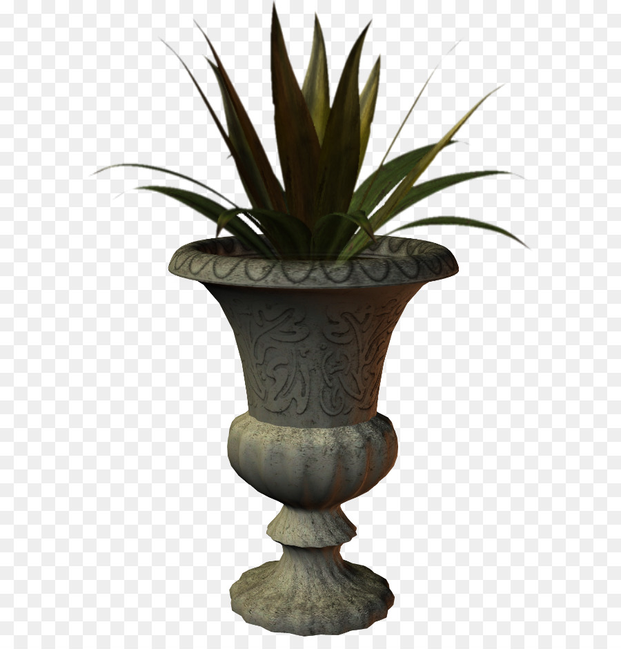 Vaso，Agave PNG
