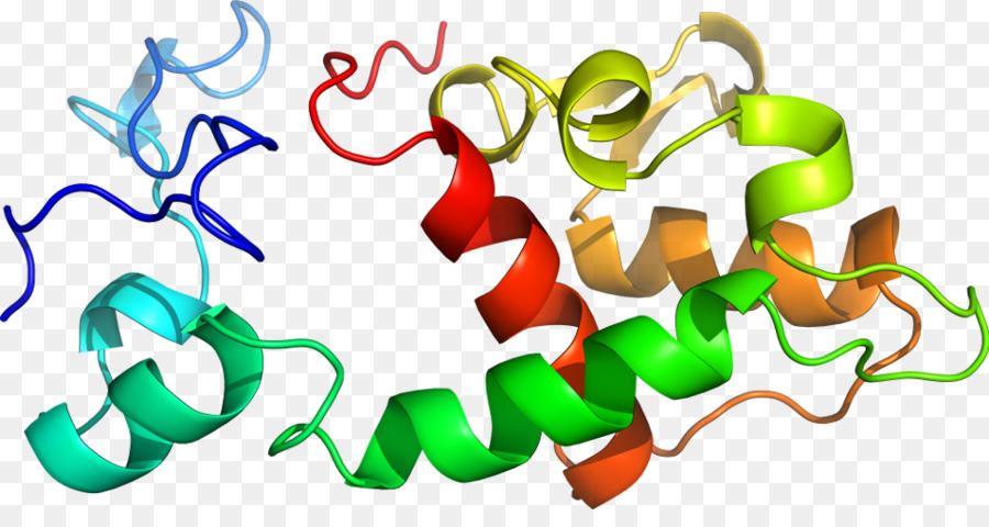 Hélice De Proteína，Molécula PNG