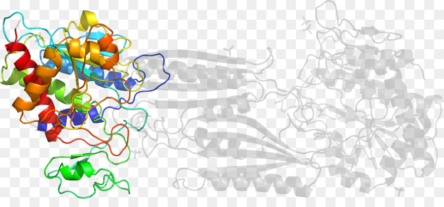 Estrutura Proteica，Molécula PNG