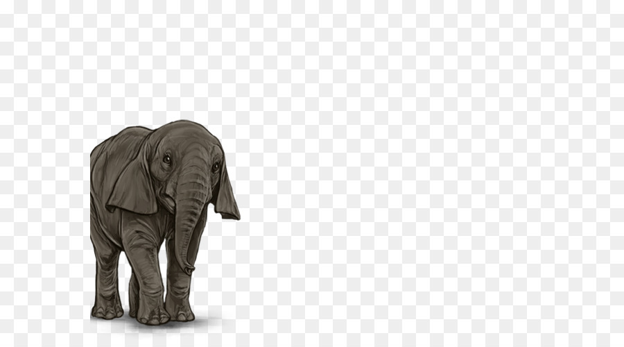 Elefante，Marrom PNG