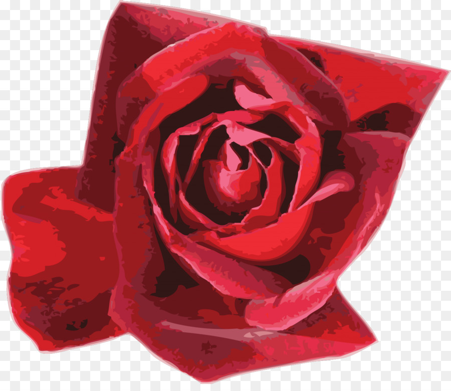 Rosas Vermelhas，Florescer PNG