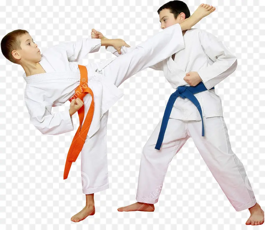 Karate，Mosteiro De Shaolin PNG