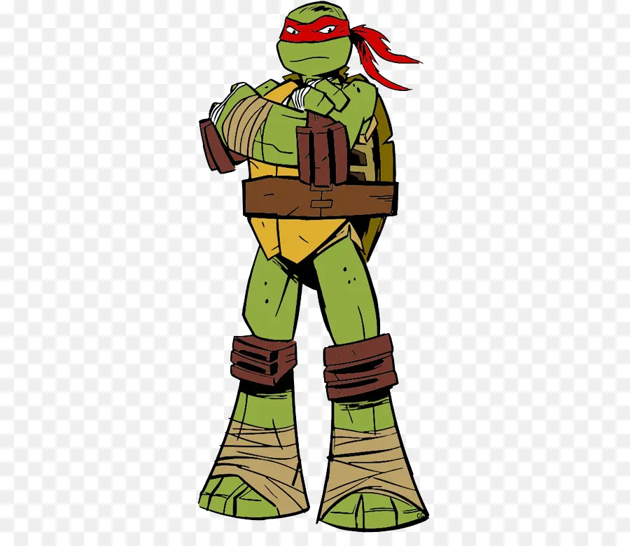 Tartaruga Ninja，Verde PNG