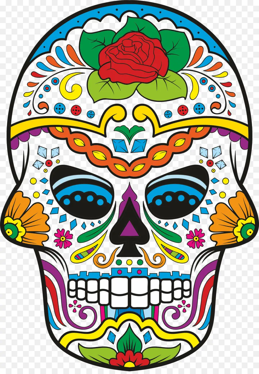 Calavera，Crânio PNG