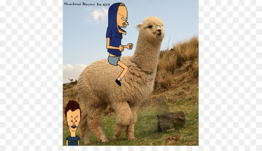 Butthead，Alpaca PNG