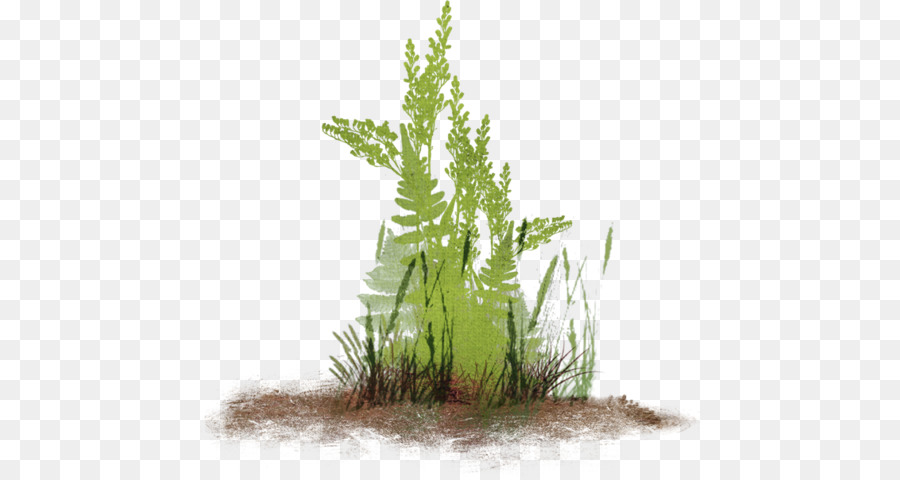 Plantas Verdes，Grama PNG