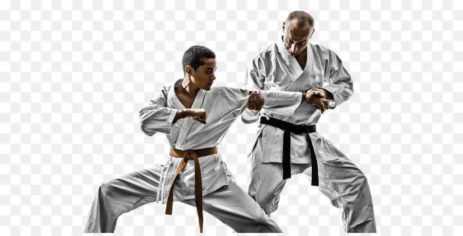 Brasileiro De Jiujitsu，Karate PNG