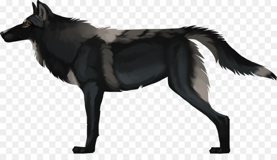 Raça Do Cão，Schipperke PNG