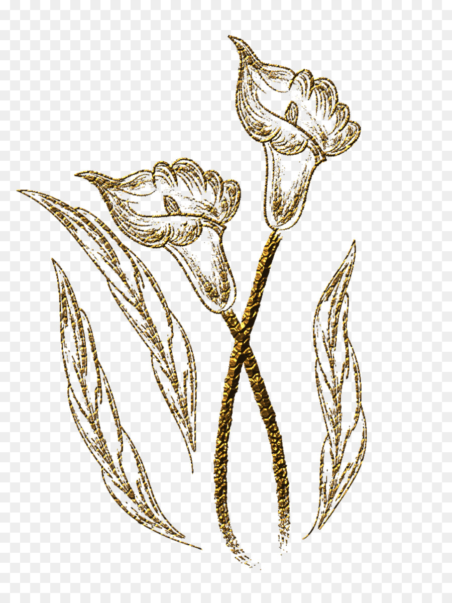 Desenho，Flor PNG