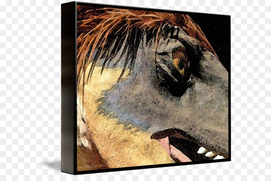 Cavalo，Pintura PNG