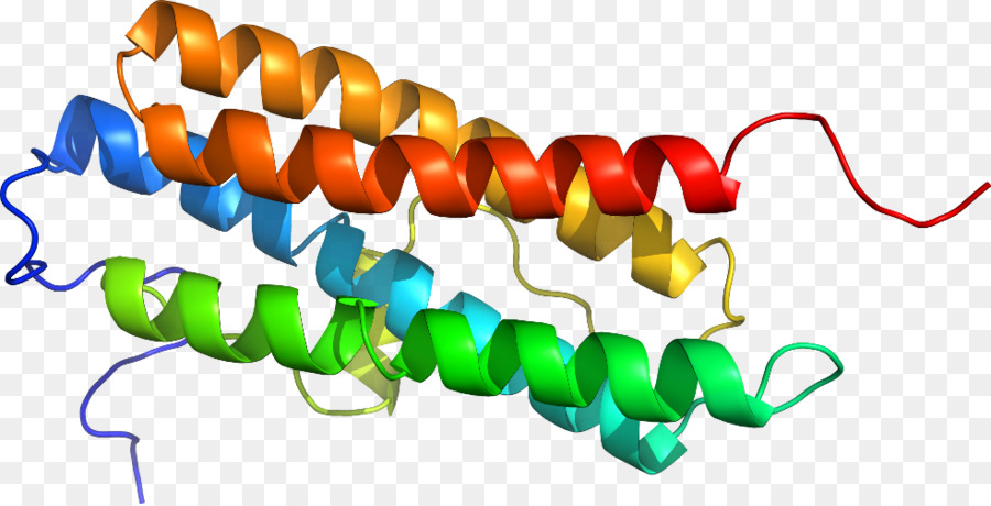 Hélice De Proteína，Molécula PNG