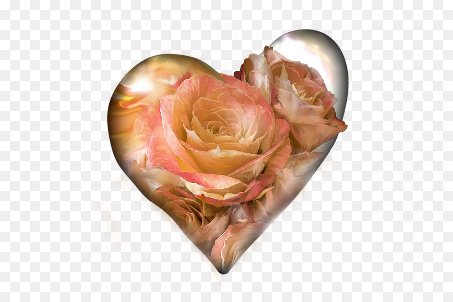 Rosa Em Forma De Coração，Amor PNG