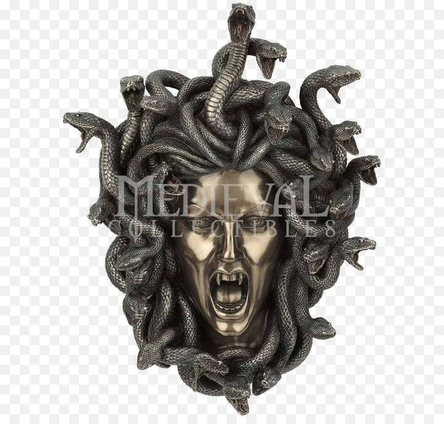 Cabeça De Medusa，Cobras PNG