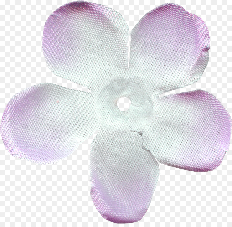 Traça Orquídeas，Orquídeas PNG