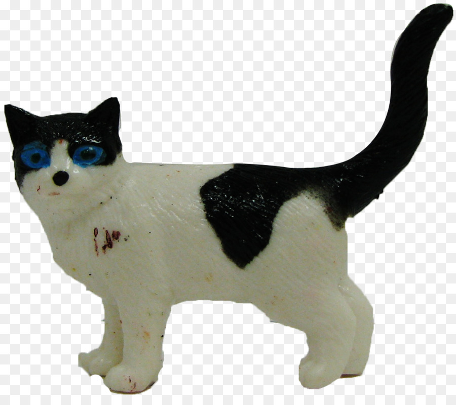 Gato Doméstico De Pêlo Curto，Bigodes PNG