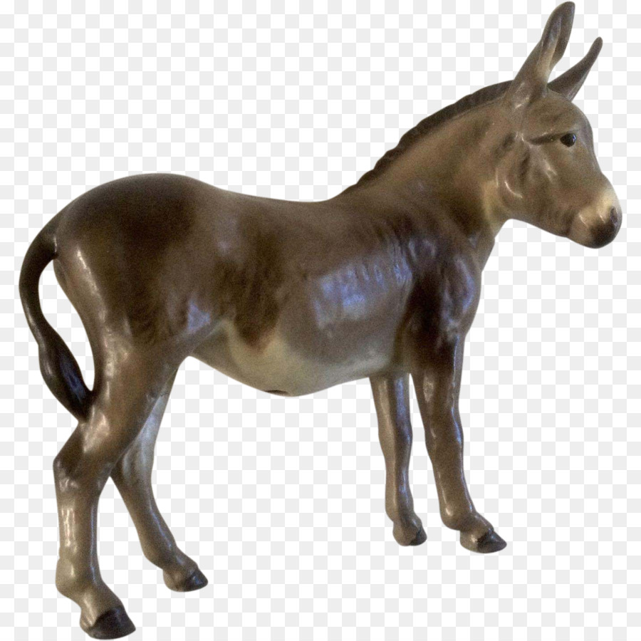 Burro，Cinza PNG